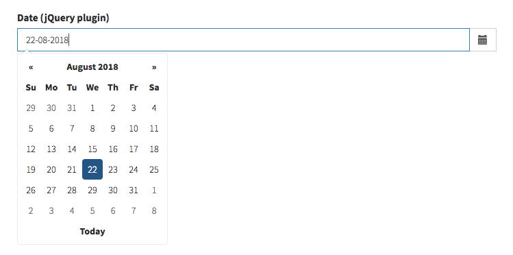 CRUD Field - date_picker
